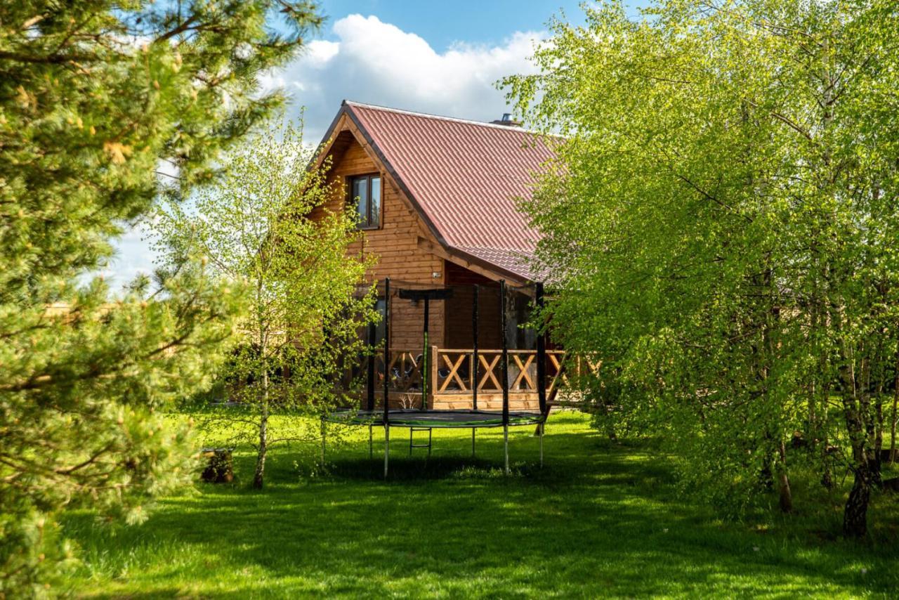 Brzozowy Zakatek Villa Dziemiany Exterior photo
